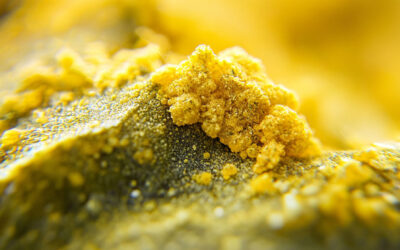 What The Pollen Season is Doing to your HVAC
